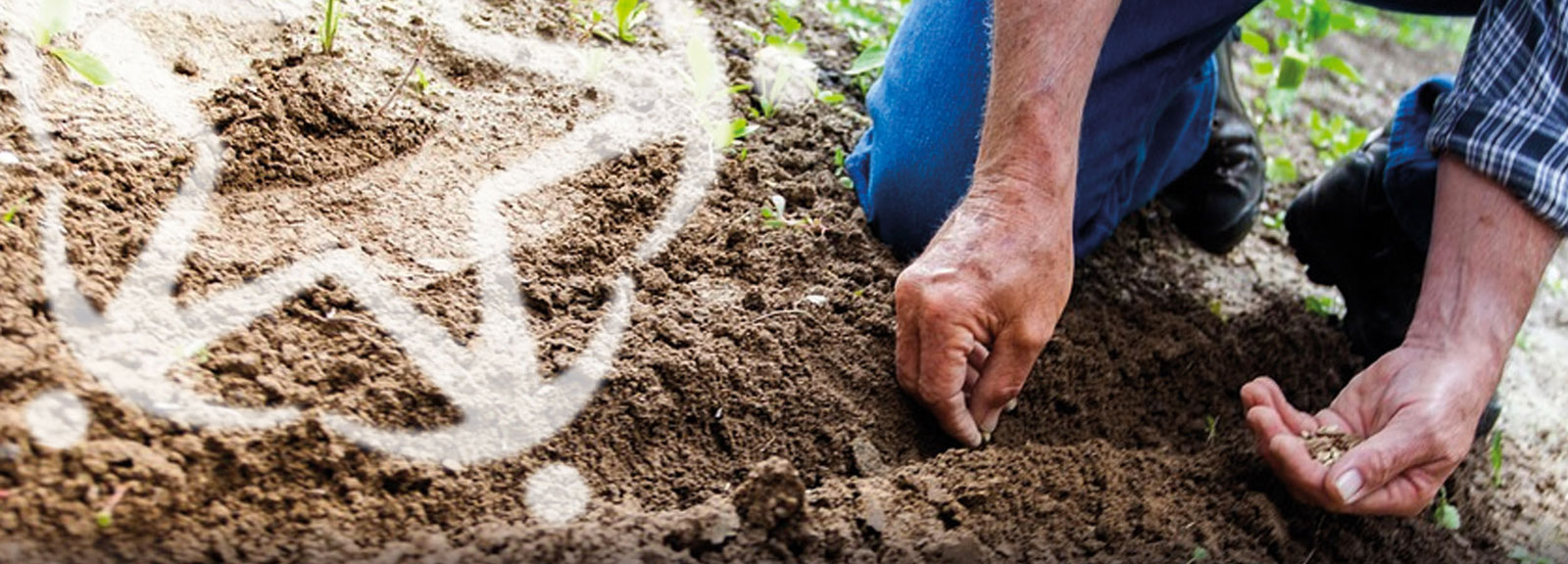 BANDO SERVIZIO CIVILE IN AGRICOLTURA SOCIALE ANNO 2018
